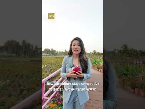 What does your smoothie say about the future?