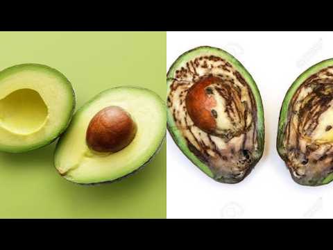 Coffee & Conversation - Food Waste is Sabotaging my Grocery Budget
