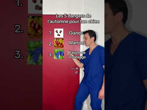 5 dangers de l’automne #top