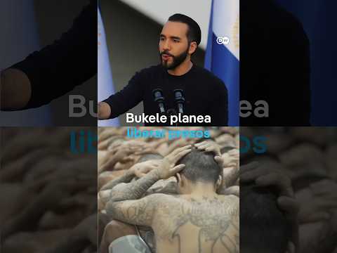 Bukele propone liberación condicional a cerca <strong>del</strong> 50 % <strong>de</strong> presos acusados <strong>de</strong> colaborar con pandillas