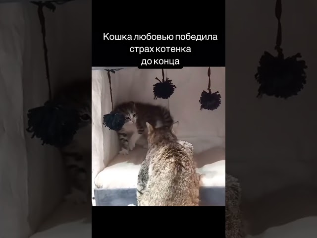 Любовь творит чудеса. Любите себя