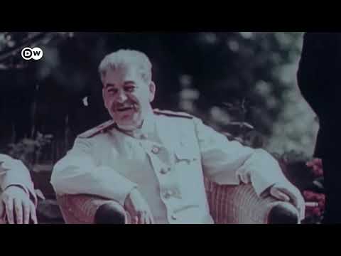 وثائقية دي دبليو
