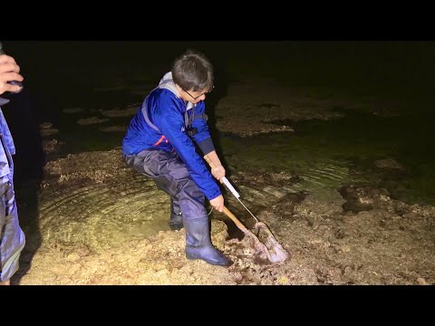 夜の潮干狩り！離島で捕った獲物で具材0円豪華海鮮焼そば！