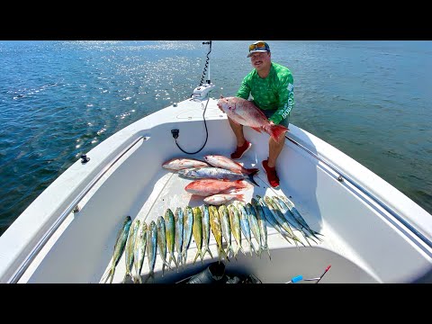 RED snapper!, MAHI, KING mackerel, destin Florida & dock demon video thumbnail