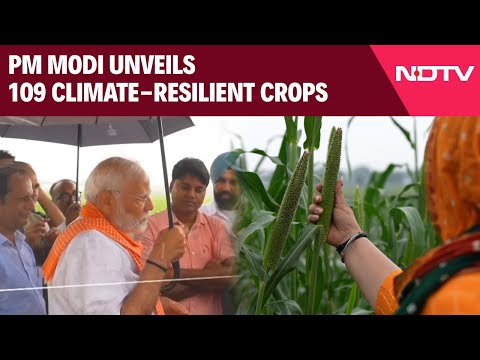 PM Modi News | PM Modi Unveils 109 Climate-Resilient Crops, Paving Way For Viable Agriculture