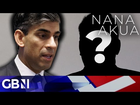 REVEALED: The PERFECT replacement for Rishi Sunak to lead Tories to election victory