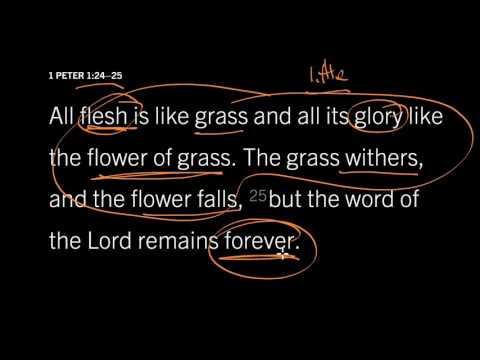 1 Peter 5:10—11 // How Long Must I Suffer