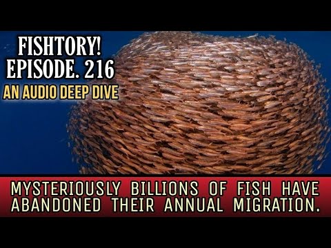 Ancient Viking Sagas May Hold Clues To This Modern Join us on Fishtory!  Discord
https_//discord.gg/fTB6FHKHPf

The BRAND NEW FISHTORY DISCORD_
All my 