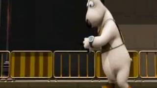 Medve Bernard - Maraton