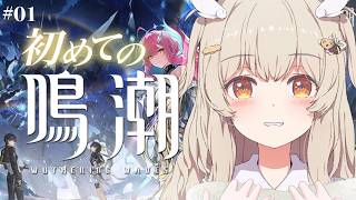 【 #鳴潮 】今日からはじめる鳴潮！第1章✨かわい子ちゃんに惹かれ、物語に浸る予感…！【 天絆ささは ￤ななしいんく】#新人VTuber