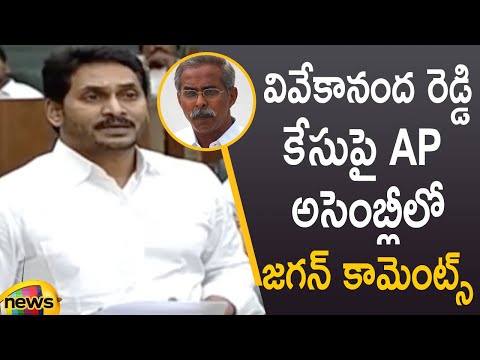 CM YS Jagan reacts for the first time on YS Viveka's murder case in AP Assembly