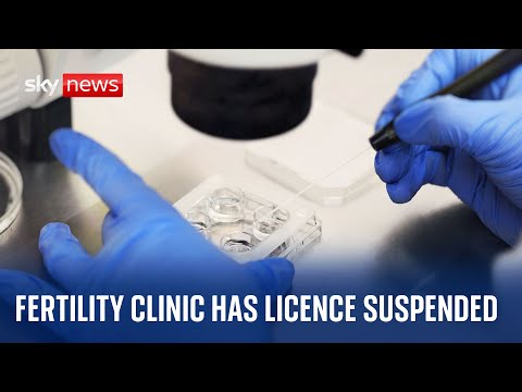 'Significant concerns' over London fertility clinic following 'tragic loss of embryos'
