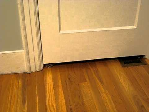 kitten squeezes under door - 1