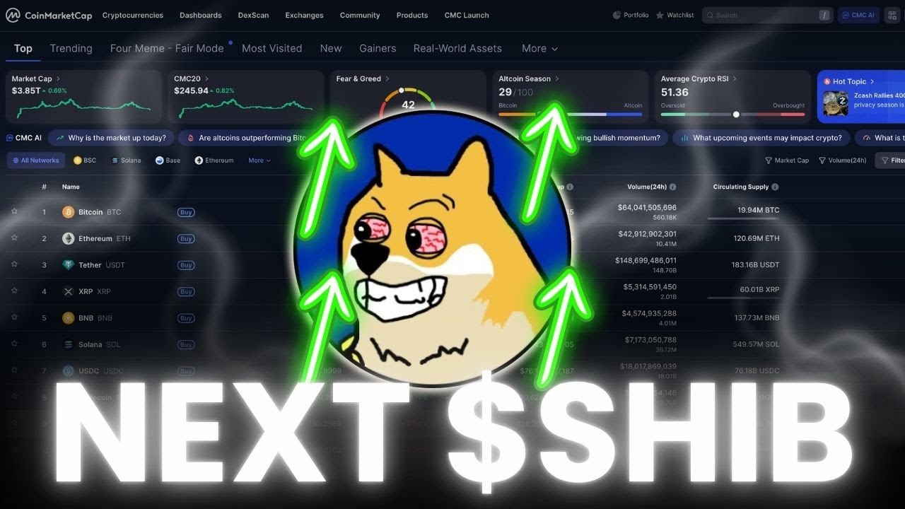 THIS MEME COIN IS THE NEXT $SHIBA INU FOR 2025... (BUY NOW)