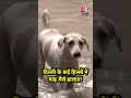 Delhi Flood Alert: दिल्ली के कई हिस्सों में भरा Yamuna का पानी, बाढ़ जैसे हालात | #shortsvideo - 01:00 min - News - Video