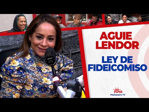 La Ley de Fideicomiso | AGUIE LENDOR