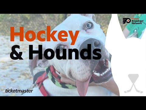 Rencontrez Ang : Hockey et chiens de chasse