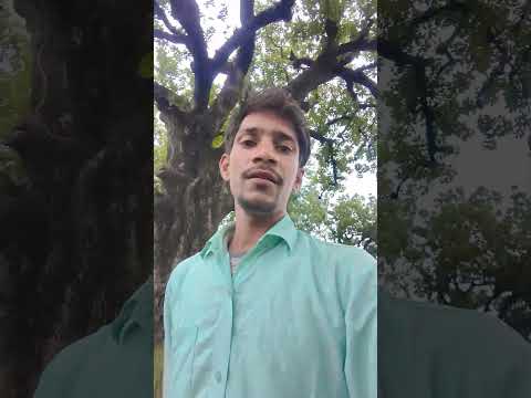 #song #hindisong #shortvideo #love #bollywood