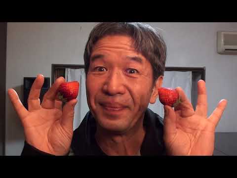 Strawberry ocarina