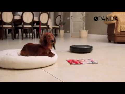 video PANDA X4