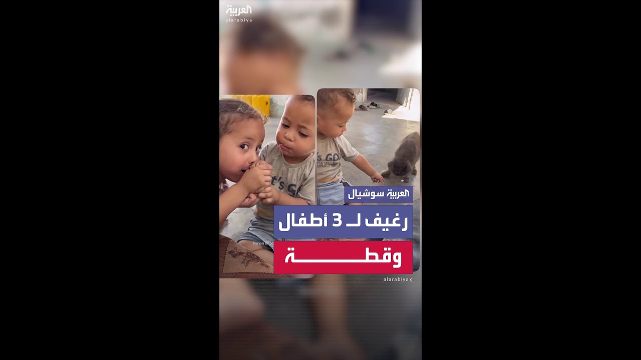 مشهد عفوي لثلاثة أطفال يتقاسمون رغيف خبز مع قطتهم الهزيلة في غزة