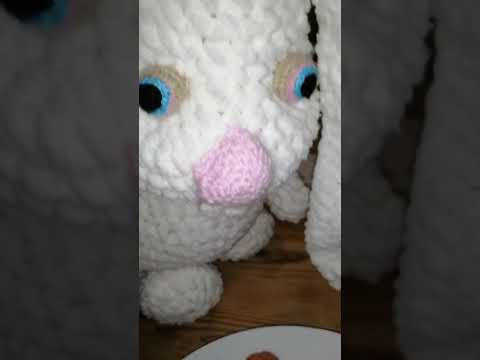 Honey X Bunny - loves apricot