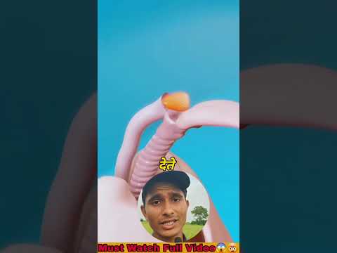 खाना खाते समय ठसका क्यों लगता है | खाना खाने का सही तरीका #eating #facts