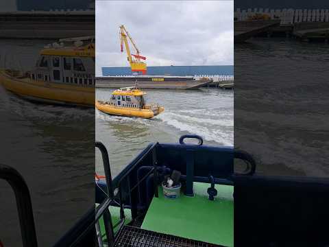 Working in Rotterdam #yt #shorts #ship