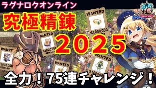 【RO】究極精錬2025！チケット75枚で5つの装備を精錬値10にする！