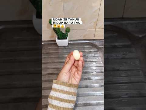 tips mengusir sut kecoa semut #lifehacks #tipsandtricks