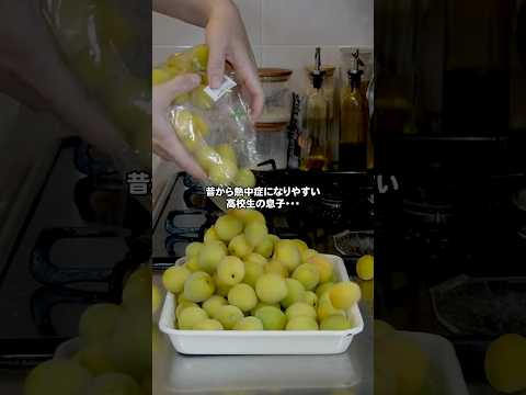 熱中症に間に合わなかった手作り梅干し#家族の時間 #梅干し #熱中症