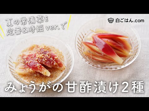 夏の常備菜!みょうがの甘酢漬け2種/定番レシピとパッと作れる時短ver.で