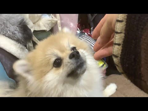 2021年ありがとう!