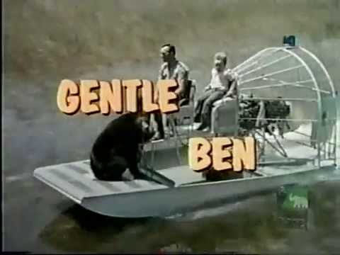 Gentle Ben'