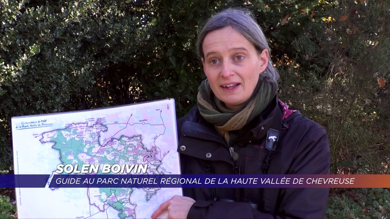 Yvelines | Balade découverte des richesses du site de Gambaiseuil