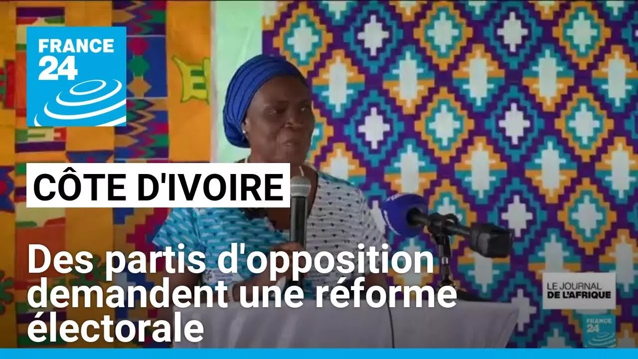 Côte d'Ivoire : des partis d'opposition demandent une réforme électorale • FRANCE 24