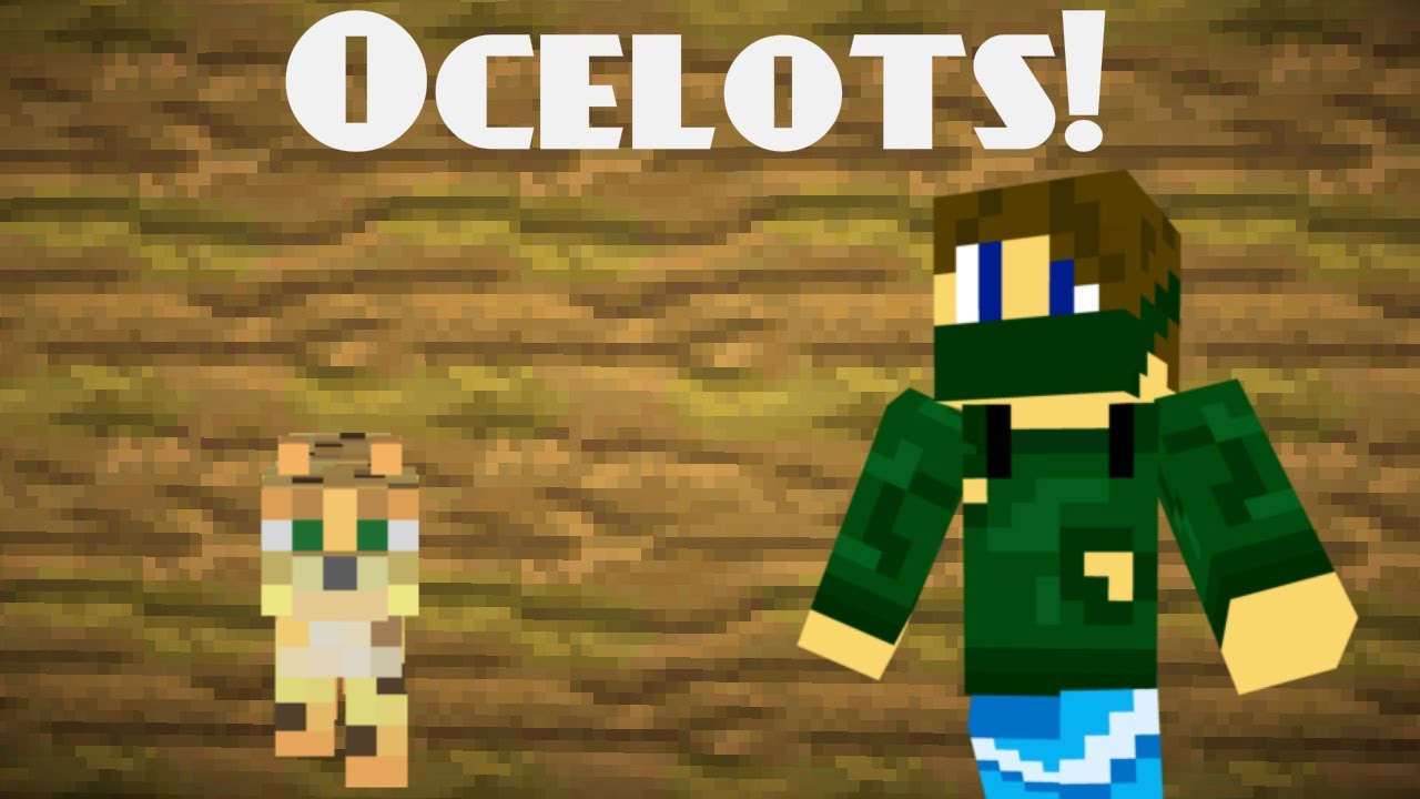 Ocelots In A Nutshell - Minecraft - YouTube