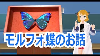 モルフォ蝶のお話
