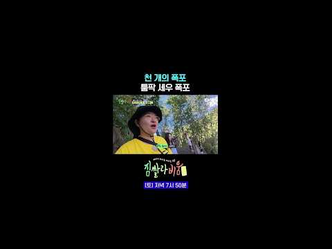 천개의 폭포라니…!! #짐쌀라비움 9회 #쇼츠