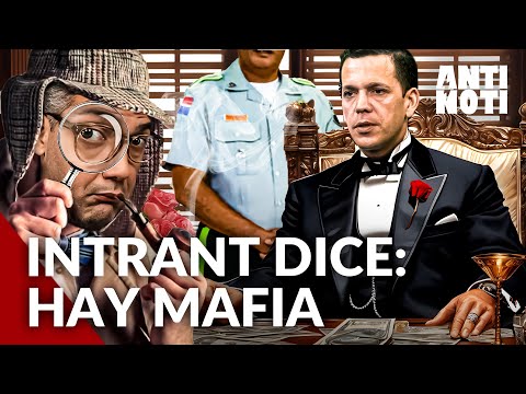 Hugo Beras Dice Que Hay Mafia En El INTRANT | Antinoti