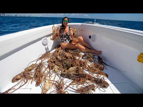 Lobster diving in secret spots! Catch, clean, cook! 2026 season video thumbnail