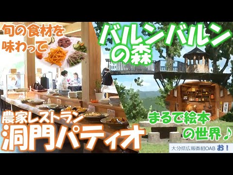 「お！」大分県広報番組（令和7年9月7日(日)放送分）