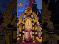కార్తికమాసంలో 🪔అద్భుత దర్శనం.. శివ సన్నిధిలో సింహాద్రి అప్పన్న దర్శనం 🙏🕉️ #kotideepotsavam