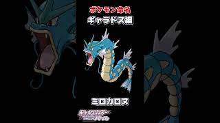 やまだなのだの独特なポケモンニックネームpart2【やまだなのだ/ぶいぱい】