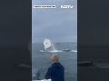 Whale Breach Capsizes Fishing Boat In New Hampshire  - 00:20 min - News - Video