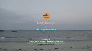 Godykaozya And The Tongwa Ensemble - KADINGAE/CHIPENA
