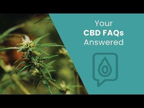 Your CBD FAQs, Answered | Dr. Josh Axe