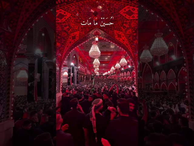 السبعين صاروا بالملايين💔 #اللهم_صل_على_محمد_وال_محمد #اللهم_عجل_لوليك_الفرج #اكسبلور #لايك #يافاطمه