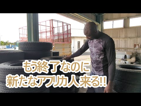 ゴールデンレトリバーのティトと飼い主の幸せな毎日 サムネイル