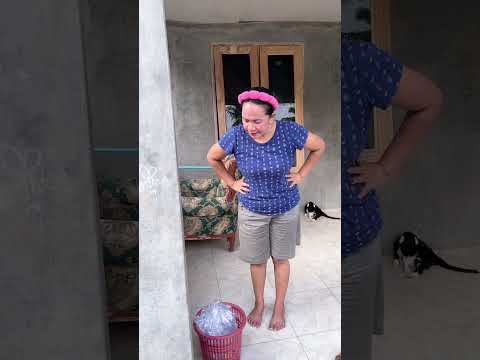 Ngapain lagi kau beli setiker #shorts